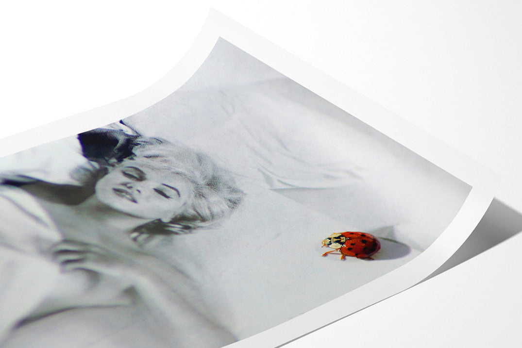 Marilyn Monroe Ladybird photo print mockup