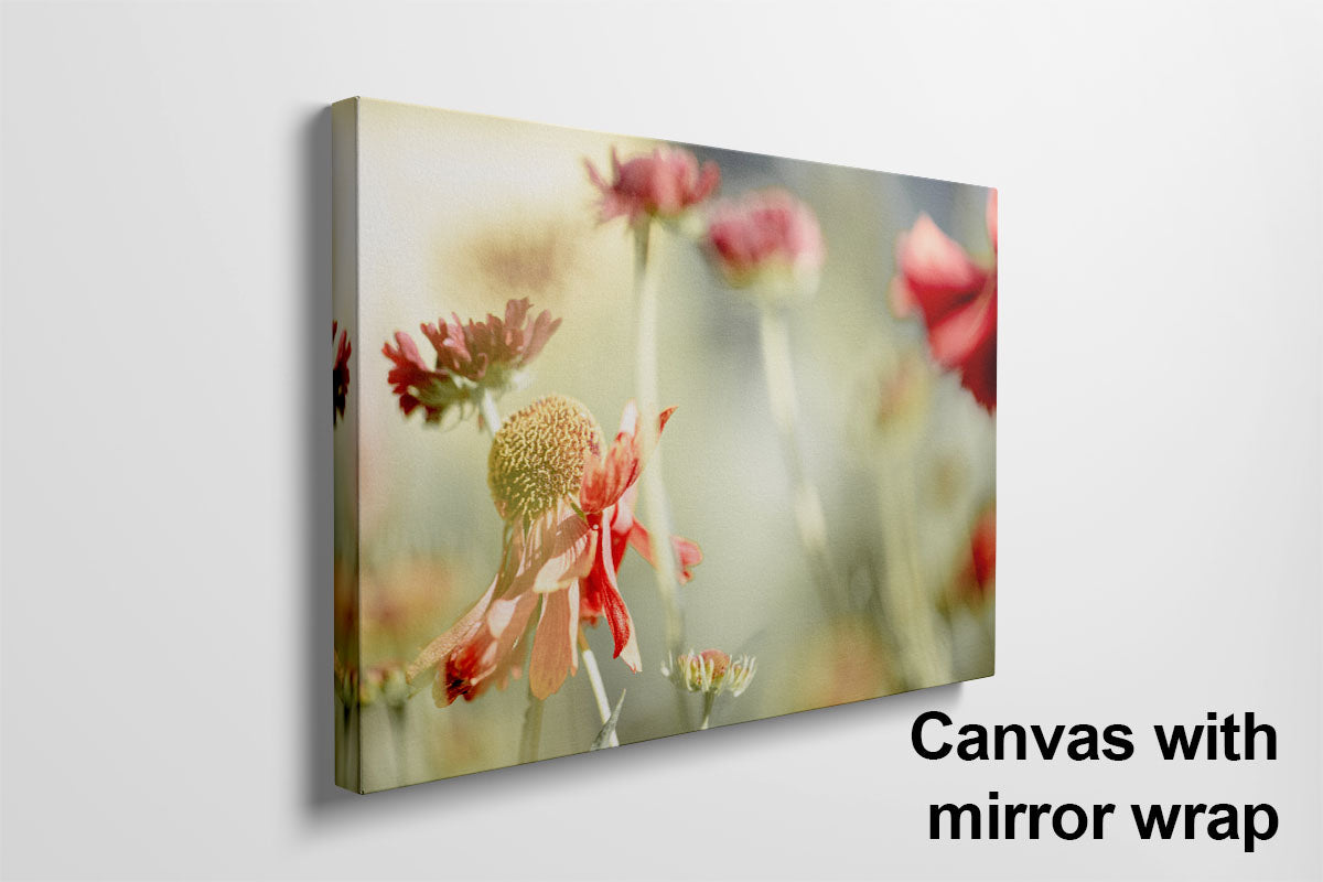 Sneezeweed flower canvas mirror wrap