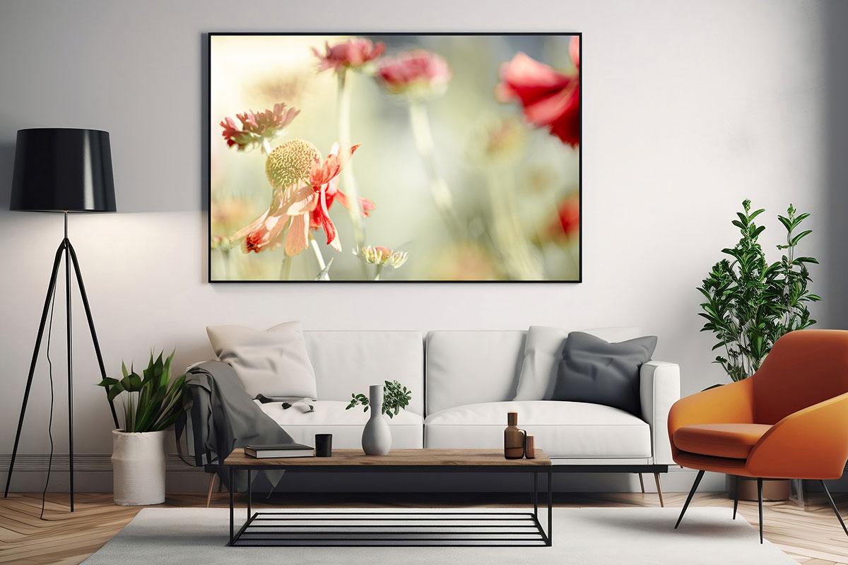 Sneezeweed flower macro photo in black frame on living room wall