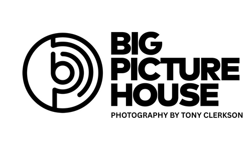 Big Picture House Logo