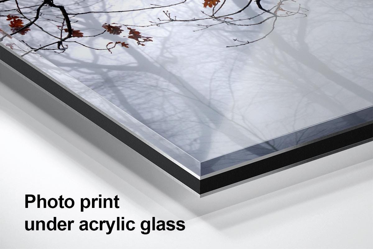 Burst of Colour London Highgate Wood acrylic glass mockup