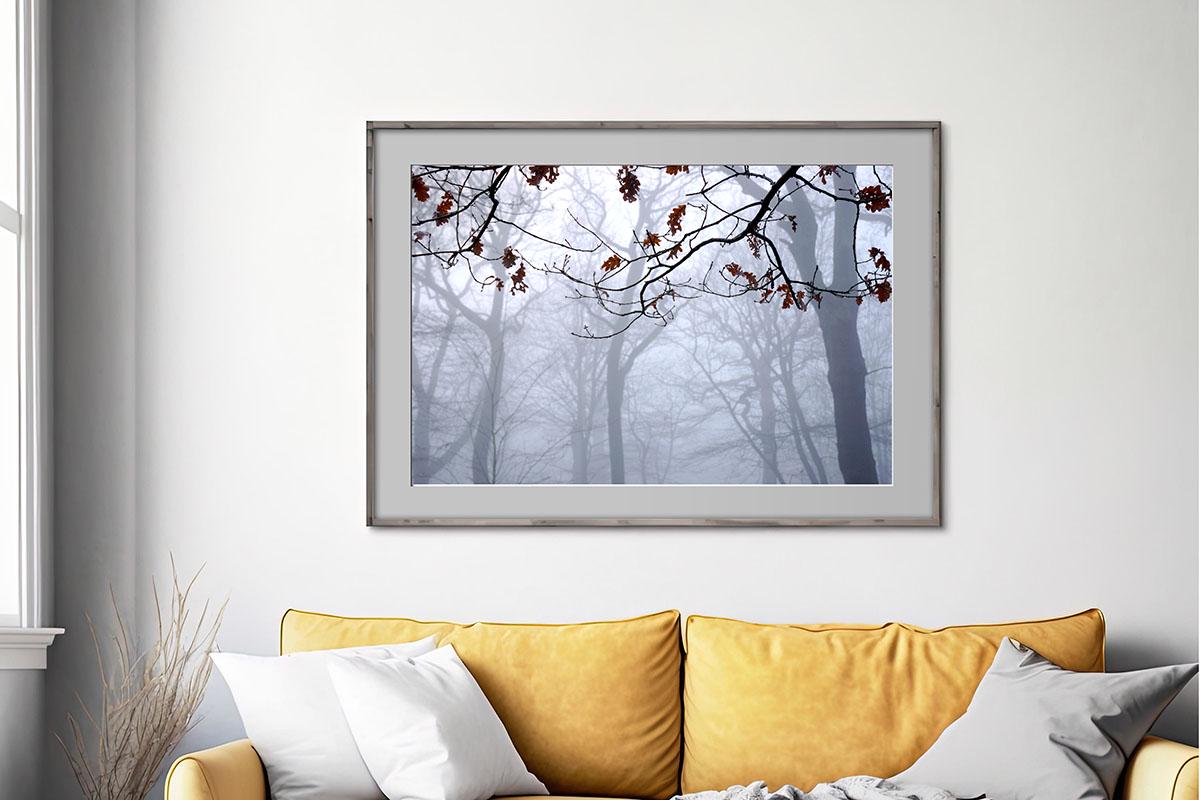 Burst of Colour London Highgate Wood framed photo print in living room
