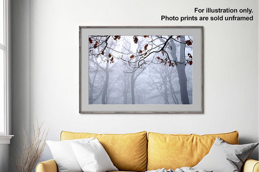 Burst of Colour London Highgate Wood framed photo print with text 