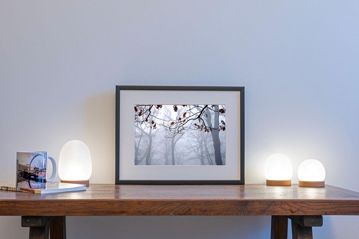 Burst of Colour London Highgate Wood in small frame on table