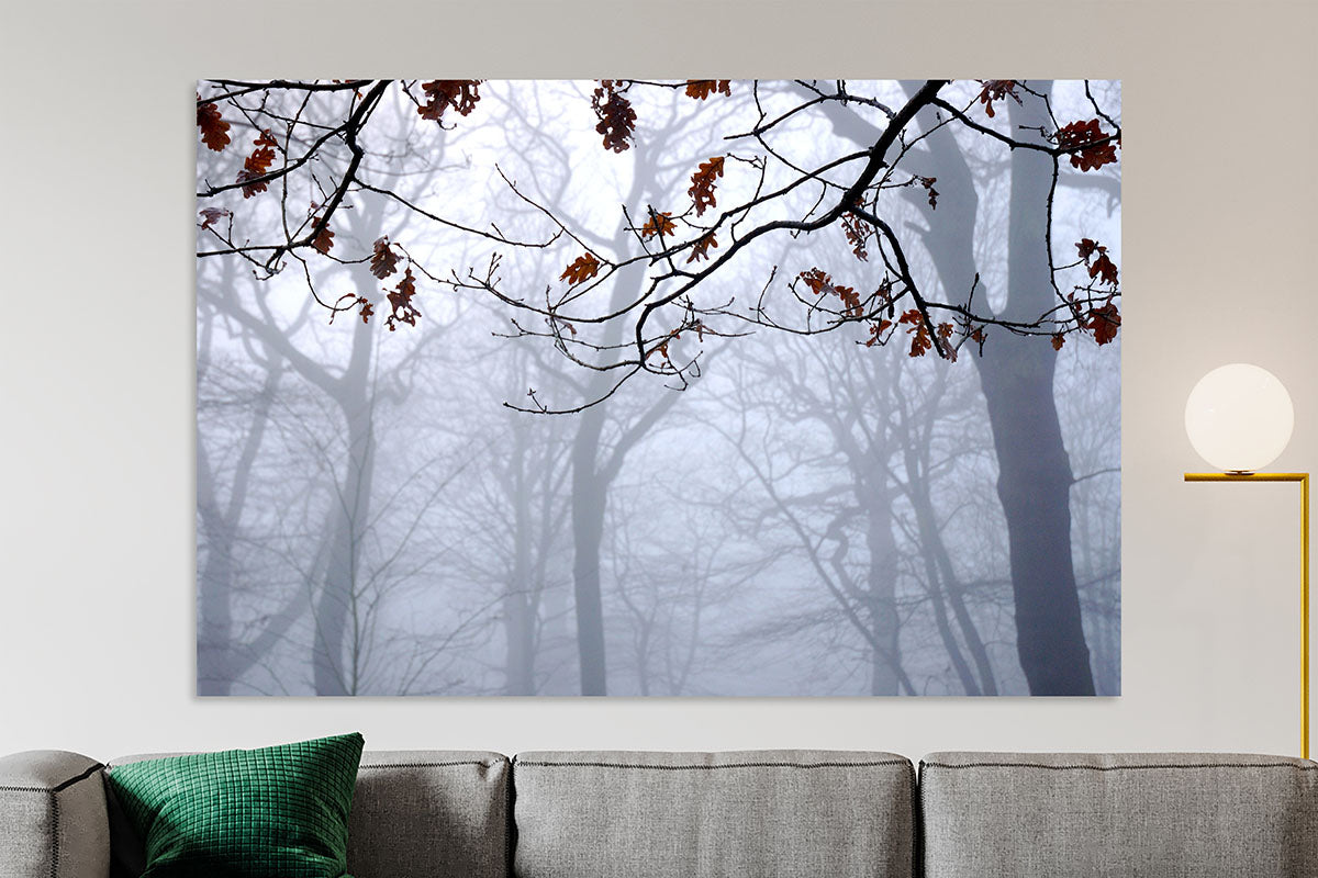 Highgate Wood Foggy Landscape | Atmospheric London Wall Art