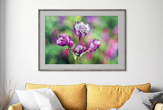 Pink Astrantia colour landscape on wall - check to delete
