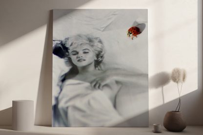 Marilyn Ladybird Canvas
