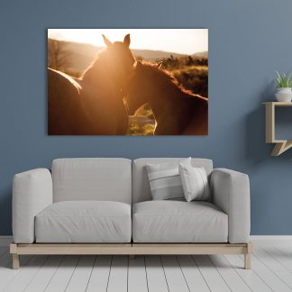 Horses at Sunrise image on wall